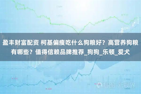 盈丰财富配资 柯基偏瘦吃什么狗粮好？高营养狗粮有哪些？值得信赖品牌推荐_狗狗_乐顿_爱犬