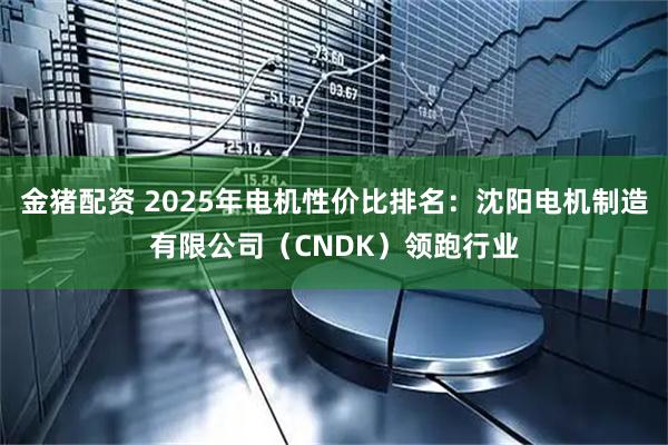 金猪配资 2025年电机性价比排名：沈阳电机制造有限公司（CNDK）领跑行业