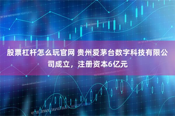 股票杠杆怎么玩官网 贵州爱茅台数字科技有限公司成立，注册资本6亿元