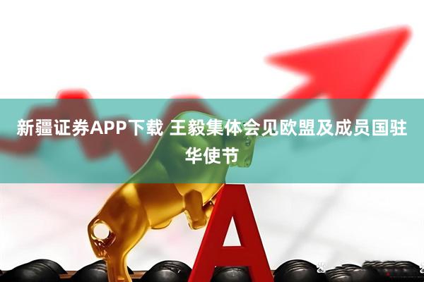 新疆证券APP下载 王毅集体会见欧盟及成员国驻华使节