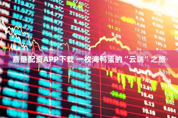嘉垦配资APP下载 一枚海鸭蛋的“云端”之旅