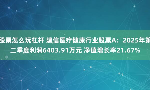 股票怎么玩杠杆 建信医疗健康行业股票A：2025年第二季度利润6403.91万元 净值增长率21.67%